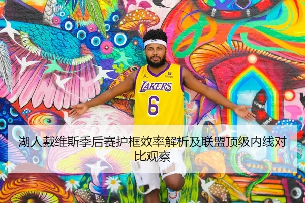 湖人戴维斯季后赛护框效率解析及联盟顶级内线对比观察