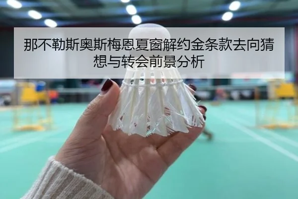 那不勒斯奥斯梅恩夏窗解约金条款去向猜想与转会前景分析